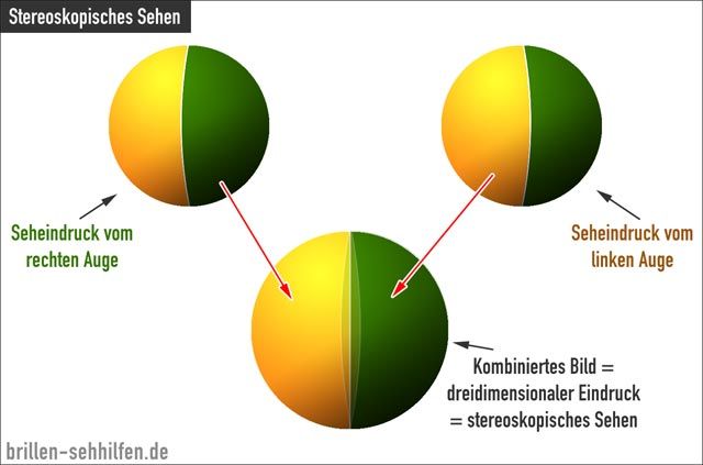 Räumliches Sehen