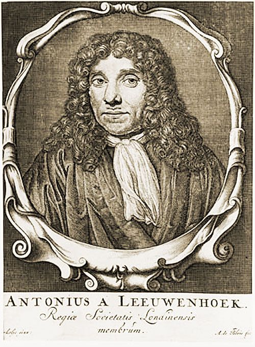 Antoni van Leeuwenhoek