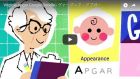 Virginia Apgar Google Doodle