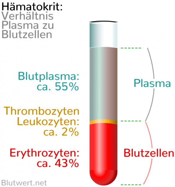 Blutbestandteile