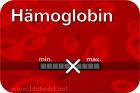Blutwert Hämoglobin