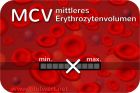 Blutwerte MCV