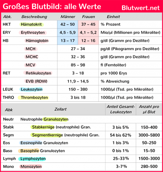 Großes Blutbild