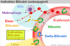 Indirektes Bilirubin