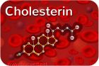 Laborwerte Cholesterin