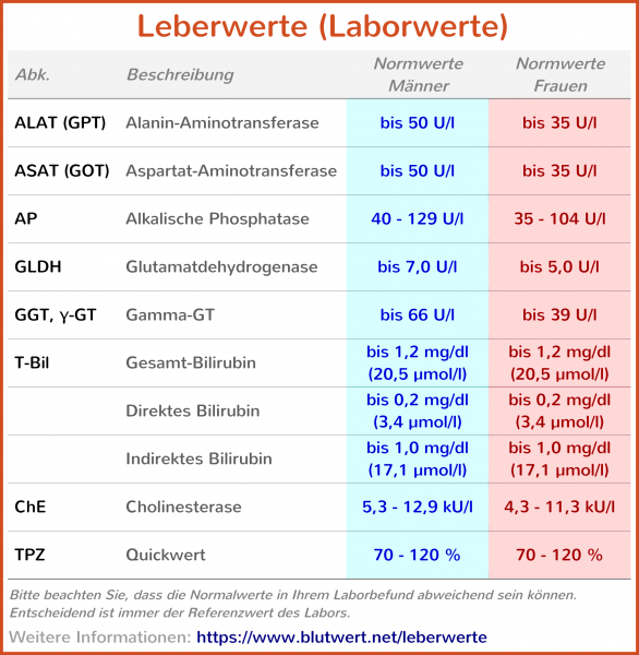 Leberwerte Tabelle