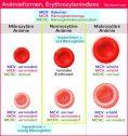 Normozytäre Anämie