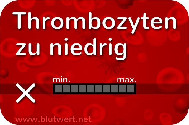 Thrombozyten niedrig