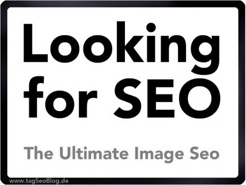 Looking For SEO?