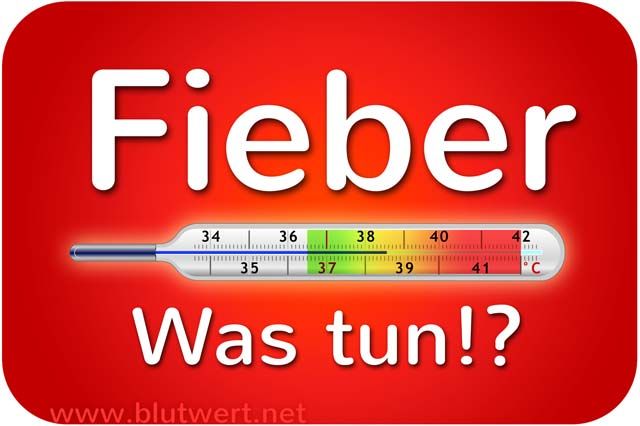 Fieber Symptome