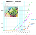 SARS CoV-2 (Coronavirus)