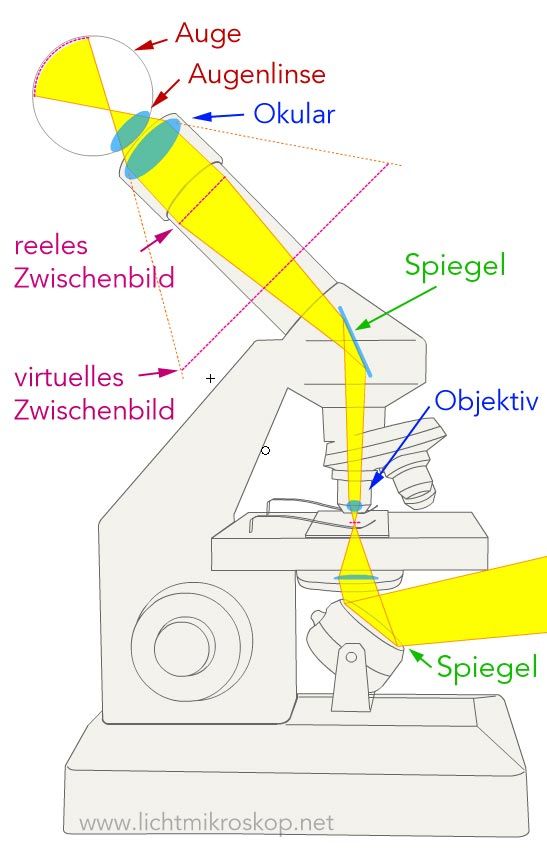 Spiegelmikroskop