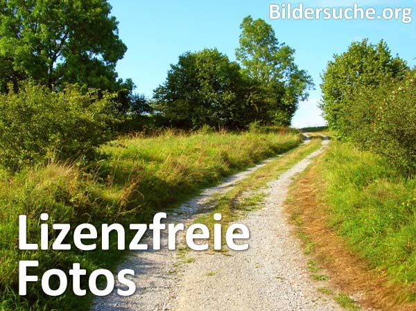 Fotos lizenzfrei