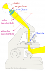 Funktionsweise eines Mikroskops