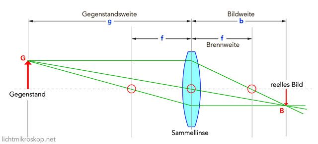 Reeles Zwischenbild