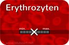 Blutwert Erythrozyten