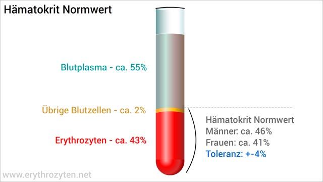 Hämatokrit Erhöht