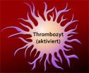 Thrombozyt