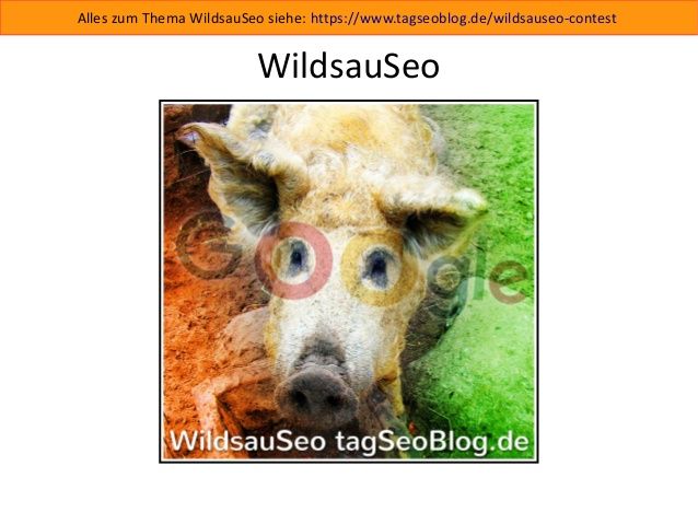 Wildsauseo-Slides